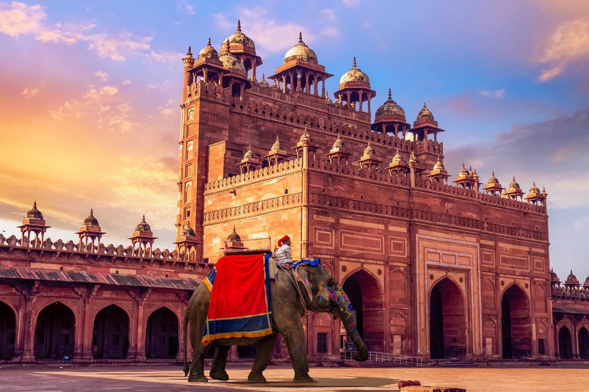 2026 Colour of India