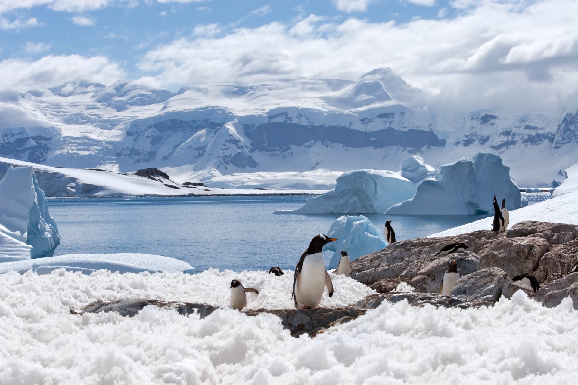 2027 Antarctica