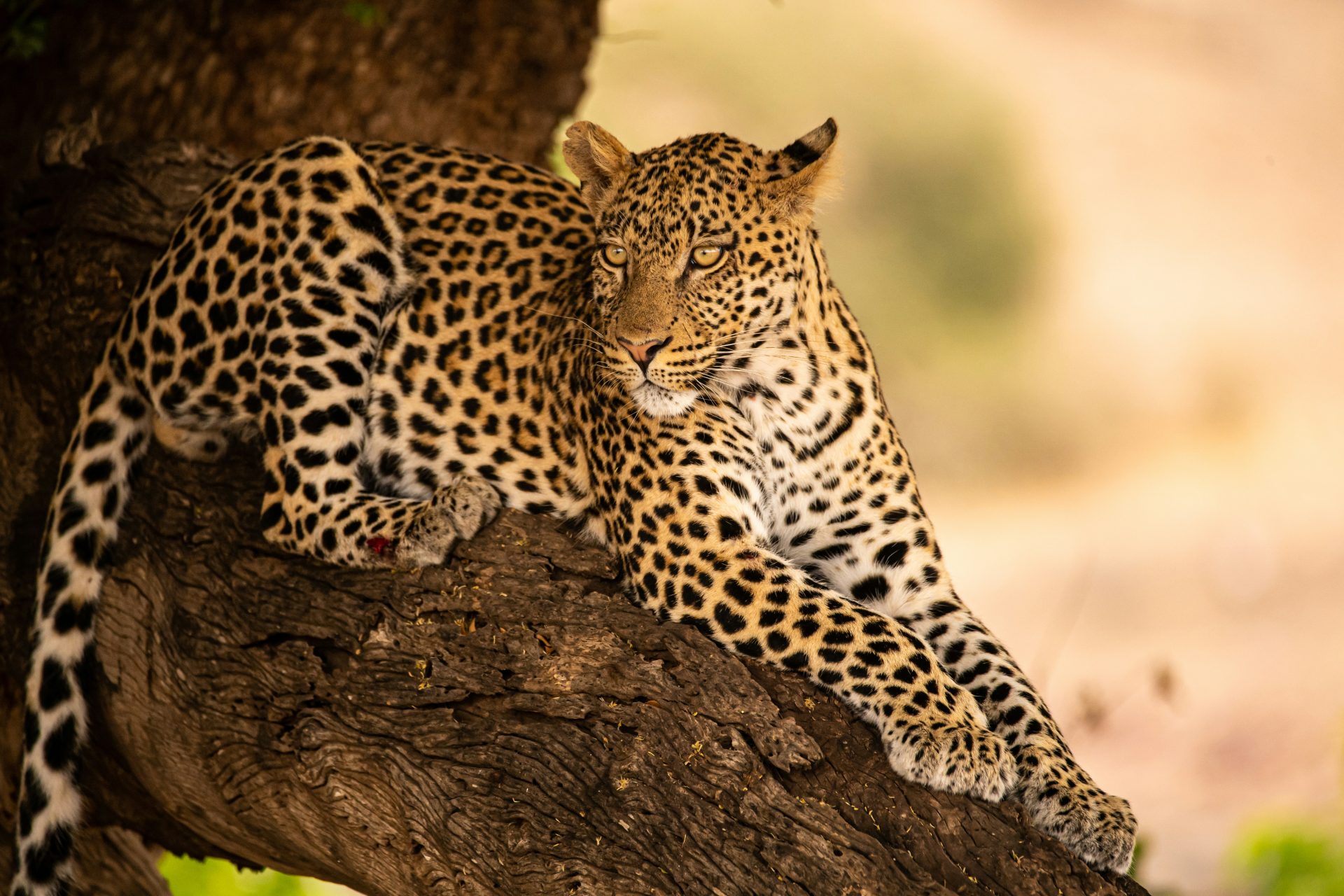 2027 Namibia & Okavango Delta Odyssey