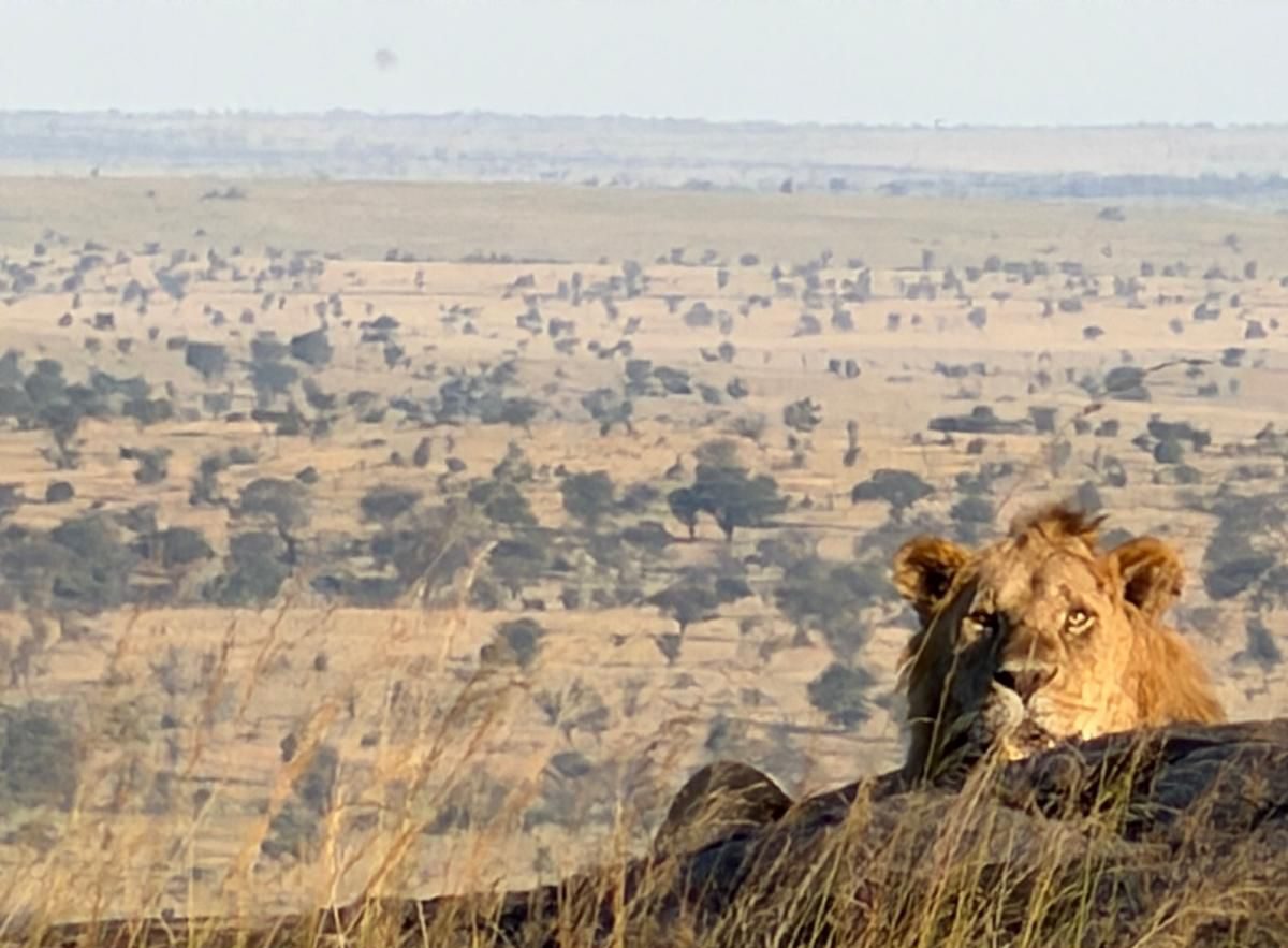 Protected: 2027 Kenya & Tanzania Luxury Safari with Neptune