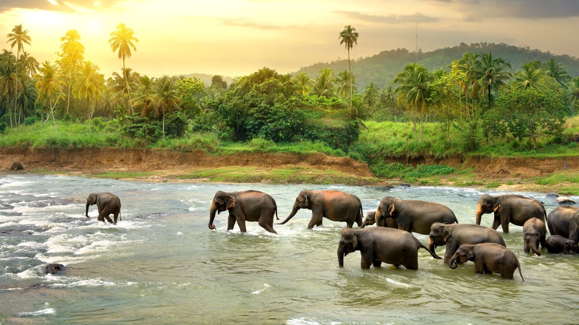 2027 Sri Lanka