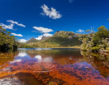 Australia-Tasmania-Springtime-Hobart-Royal-Botanical-Gardens-Port-Arthur-Isle of the Dead-Cruise-Mt. Field-National-Park-Lake-St. Clair-strahan-Gordon-River-Cruise-Dove-Lake-Cradle-Mountain-Stanley-Woolnorth-Cape-Grim-Smithton-Sheffield-Launceston-Cataract-Gorge-Tasman-Peninsula-Eaglehawk-Freycinet-National-Park